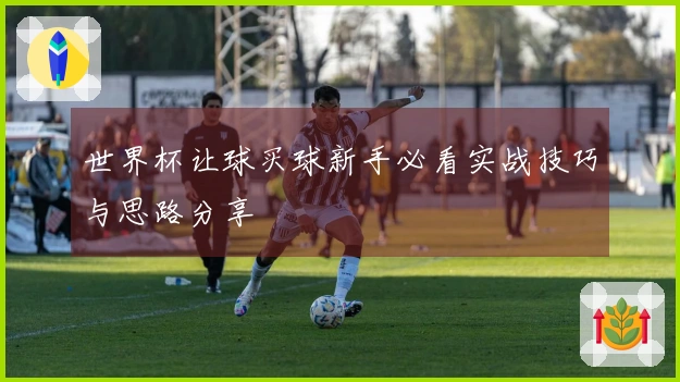 世界杯让球买球新手必看实战技巧与思路分享