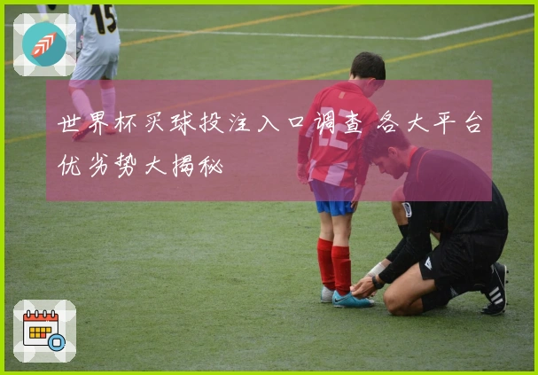 世界杯买球投注入口调查 各大平台优劣势大揭秘