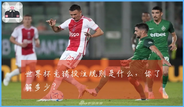 世界杯竞猜投注规则是什么,你了解多少?