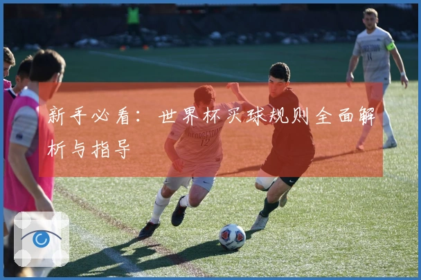 新手必看：世界杯买球规则全面解析与指导