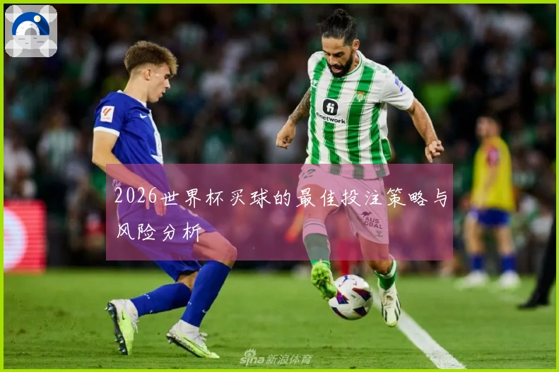 2026世界杯买球的最佳投注策略与风险分析