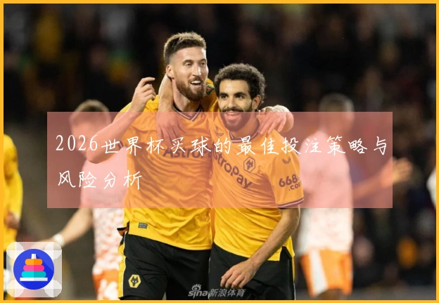 2026世界杯买球的最佳投注策略与风险分析