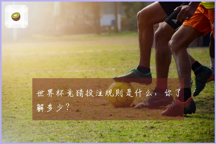 世界杯竞猜投注规则是什么，你了解多少？