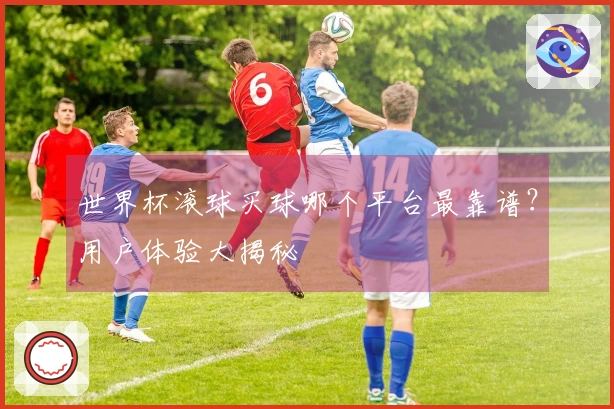 世界杯滚球买球哪个平台最靠谱？用户体验大揭秘