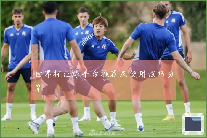 世界杯让球平台推荐及使用技巧分享