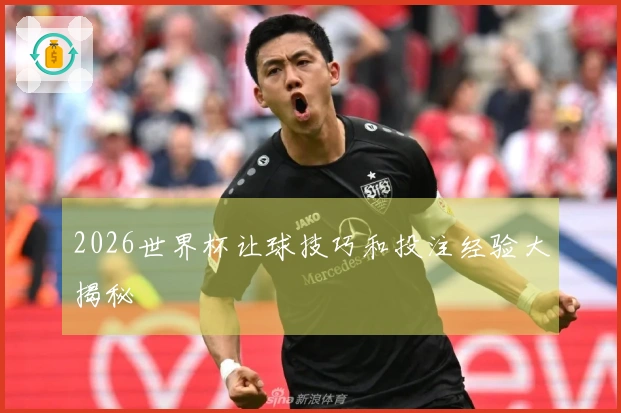 2026世界杯让球技巧和投注经验大揭秘