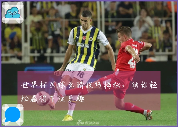 世界杯买球竞猜技巧揭秘，助你轻松赢得下注乐趣