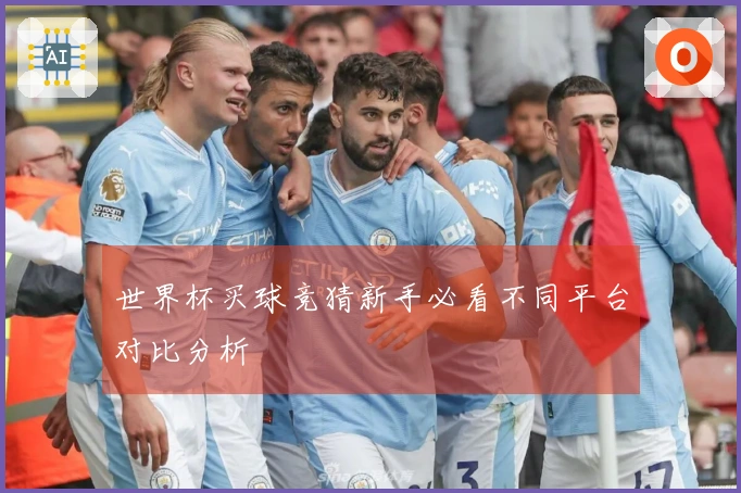 世界杯买球竞猜新手必看不同平台对比分析