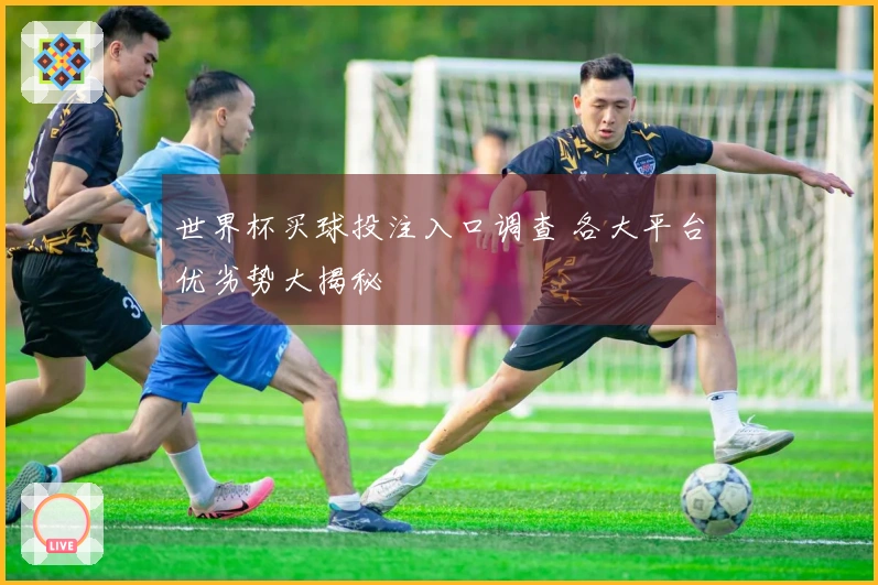 世界杯买球投注入口调查 各大平台优劣势大揭秘