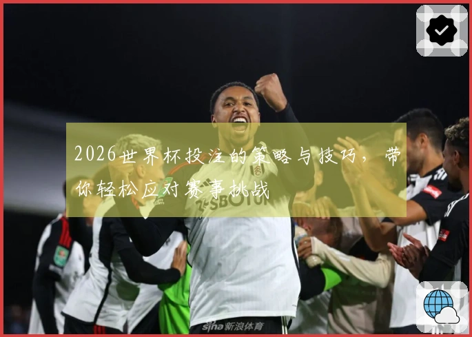 2026世界杯投注的策略与技巧，带你轻松应对赛事挑战